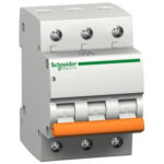 Schneider 11051 | Domae 3P 10A
